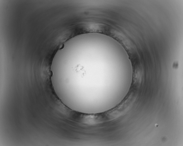 X0000103940473200809191421