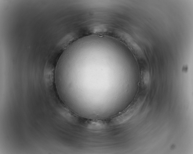 X0000103940475200809191421