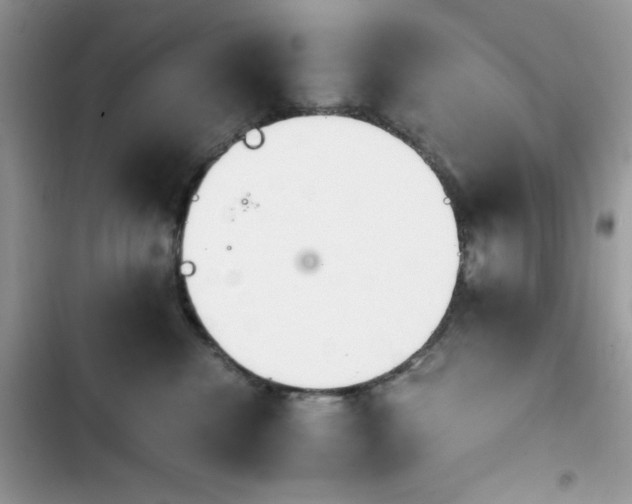 X0000103940476200809191421
