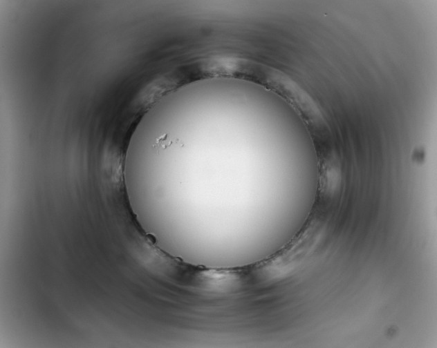 X0000103940477200809191421