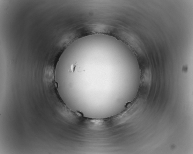 X0000103940478200809191421