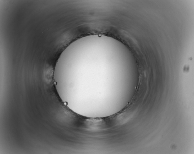 X0000103940480200809191421