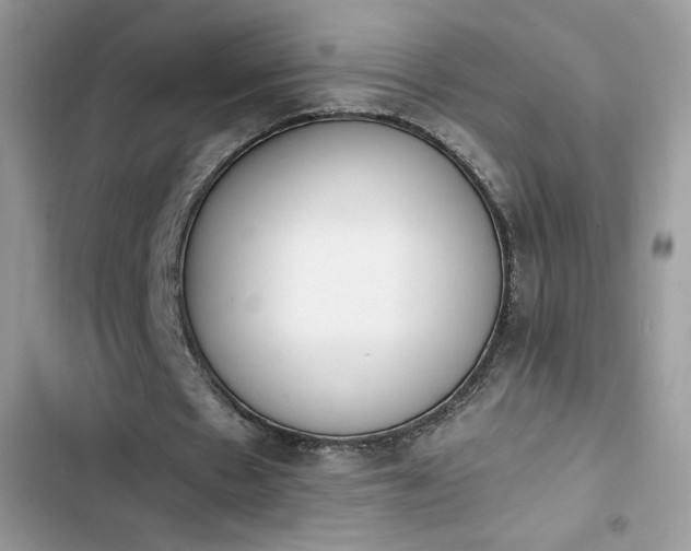 X0000103940481200809191421