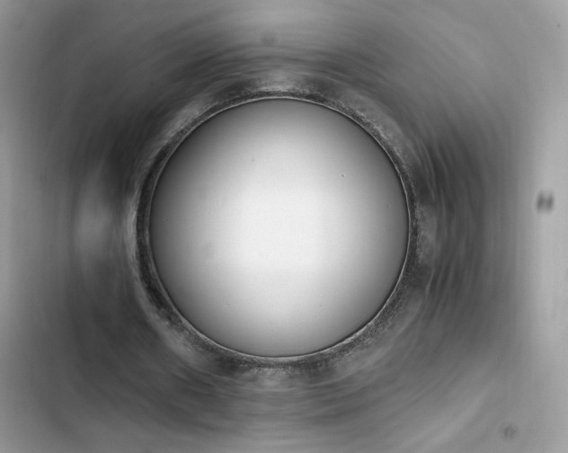 X0000103940482200809191421