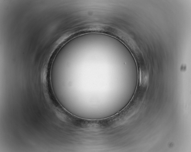 X0000103940483200809191420