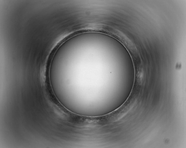 X0000103940484200809191420
