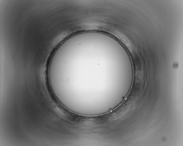 X0000103940485200809191420