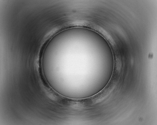 X0000103940486200809191420