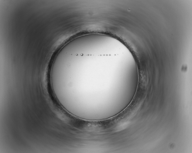 X0000103940487200809191420