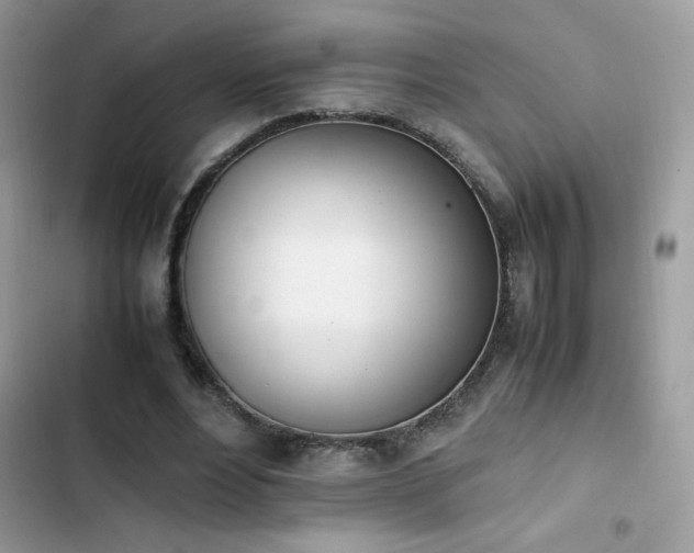 X0000103940488200809191420
