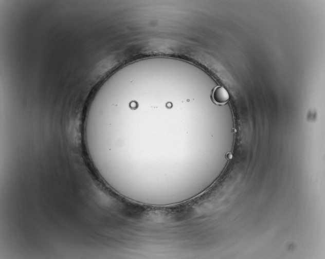 X0000103940489200809191420