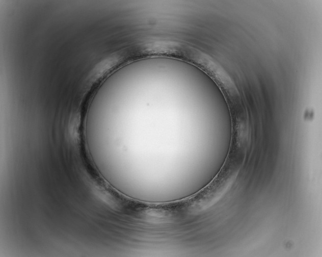 X0000103940490200809191420