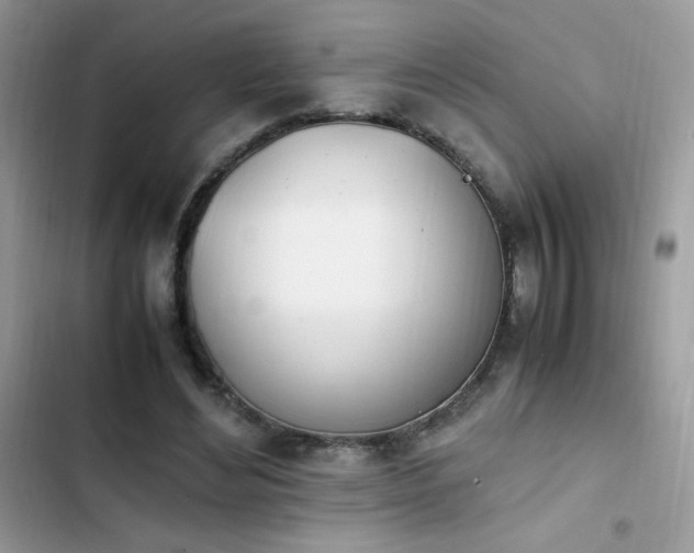 X0000103940492200809191420