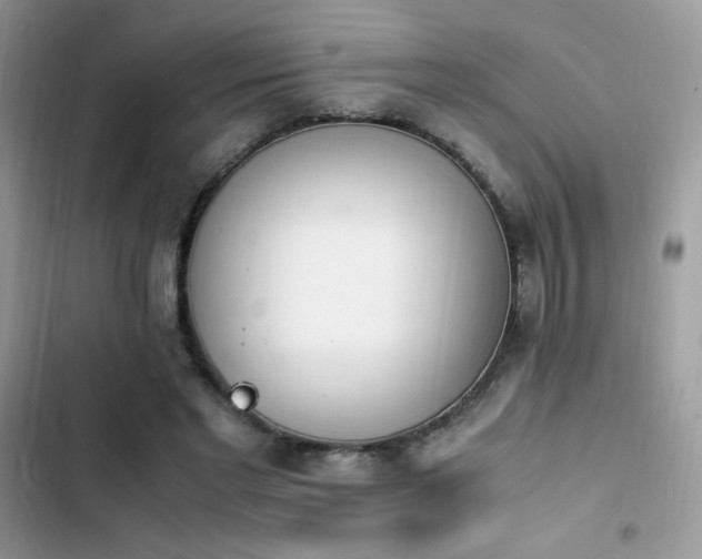X0000103940493200809191420