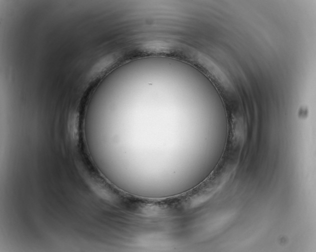 X0000103940494200809191420