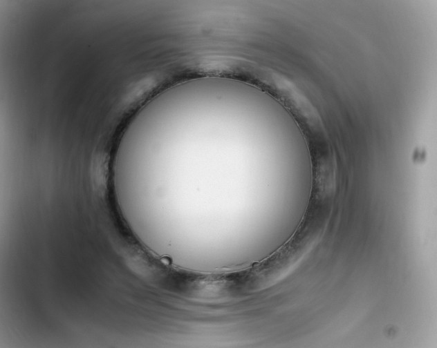 X0000103940495200809191420