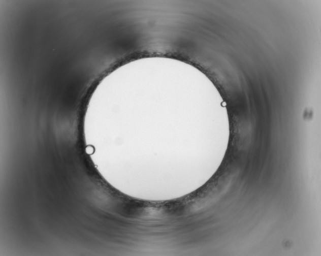 X0000103940496200809191420