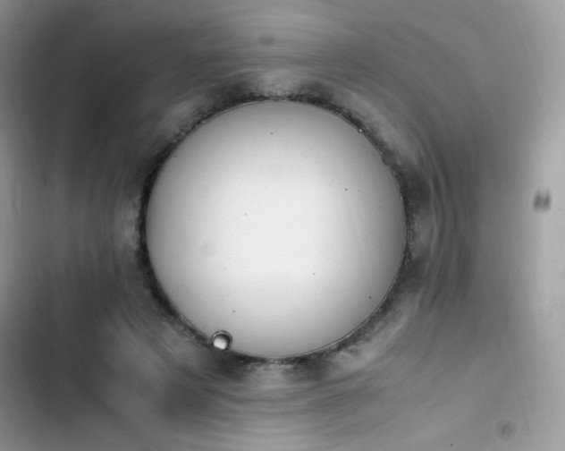 X0000103940497200809191420