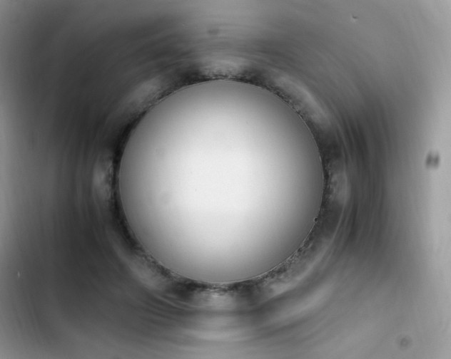 X0000103940498200809191420