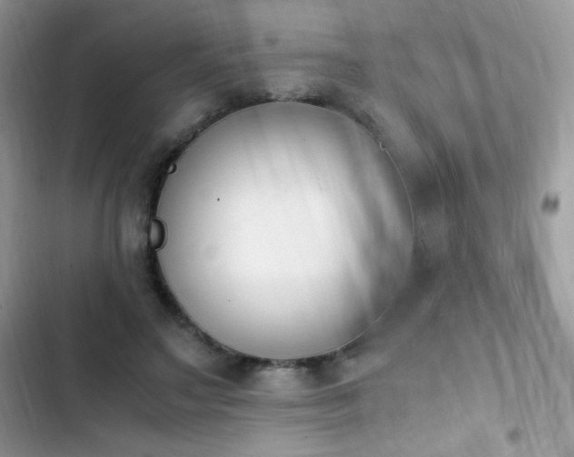 X0000103940499200809191420