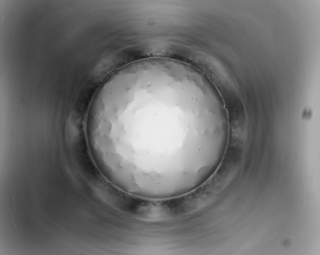 X0000103940503200809191420