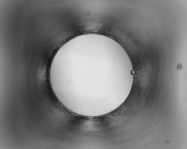 X0000103940504200809191420