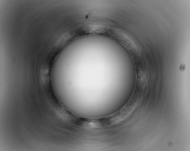 X0000103940506200809191420