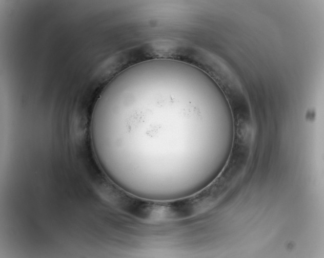 X0000103940507200809191420