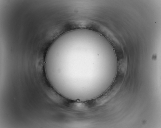 X0000103940509200809191420