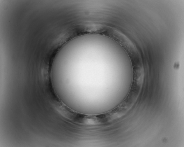 X0000103940510200809191420