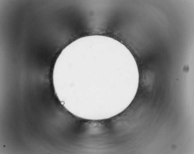 X0000103940512200809191420
