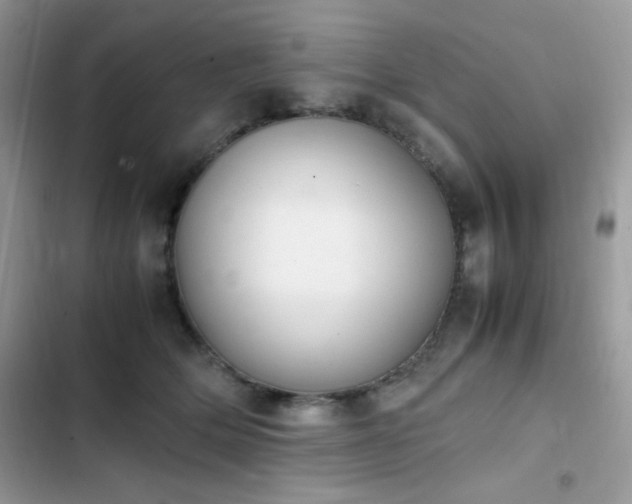 X0000103940514200809191420
