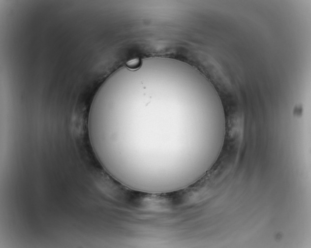 X0000103940515200809191420