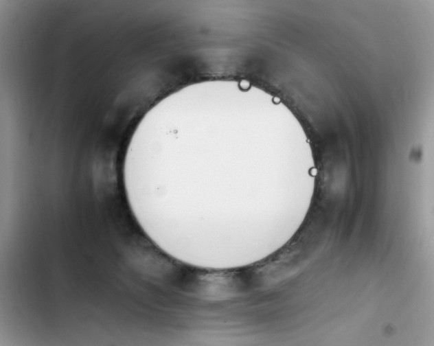 X0000103940516200809191420