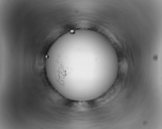 X0000103940517200809191420