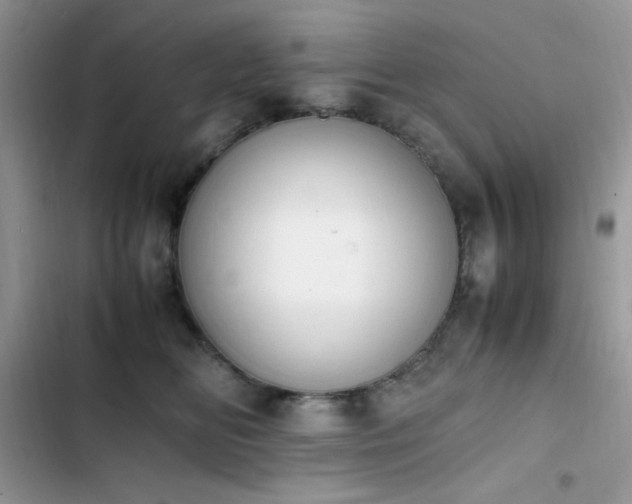 X0000103940518200809191420