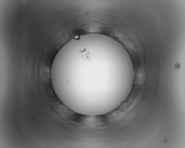 X0000103940521200809191420