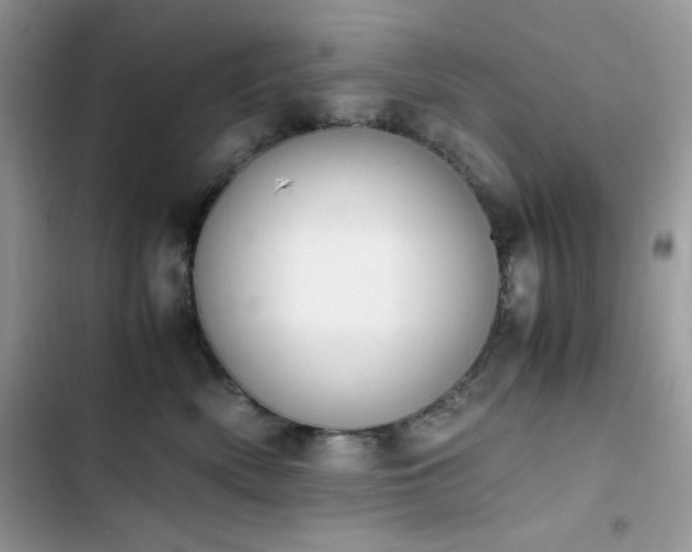 X0000103940522200809191420