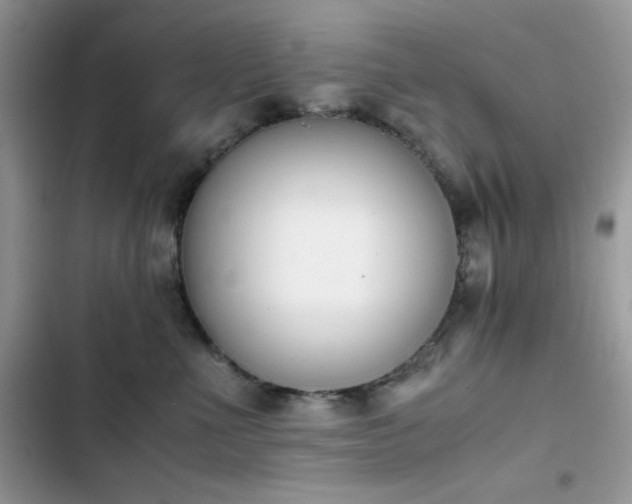 X0000103940523200809191420