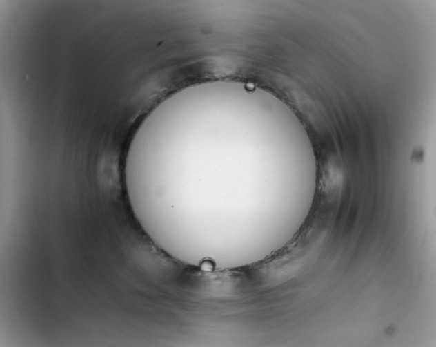 X0000103940524200809191420