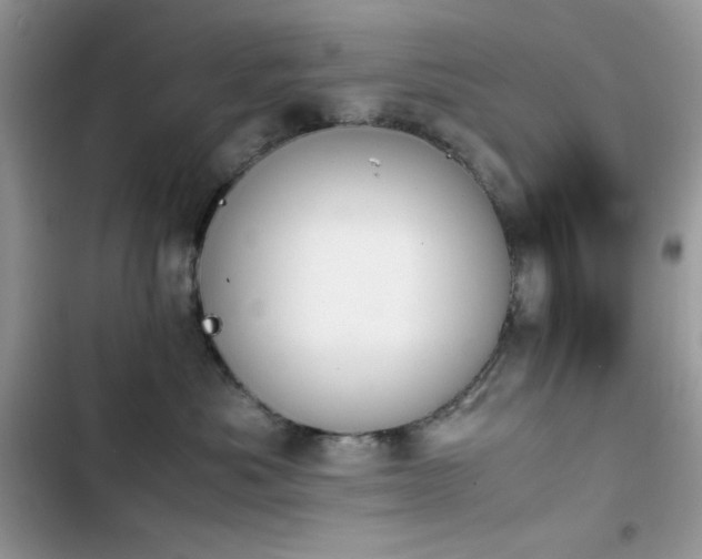 X0000103940525200809191420