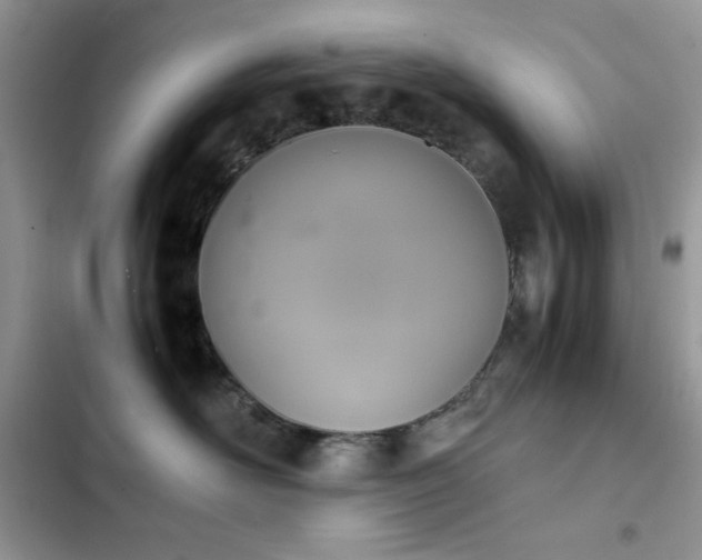 X0000103940526200809191420