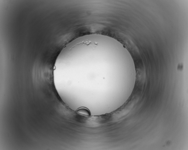 X0000103940527200809191420