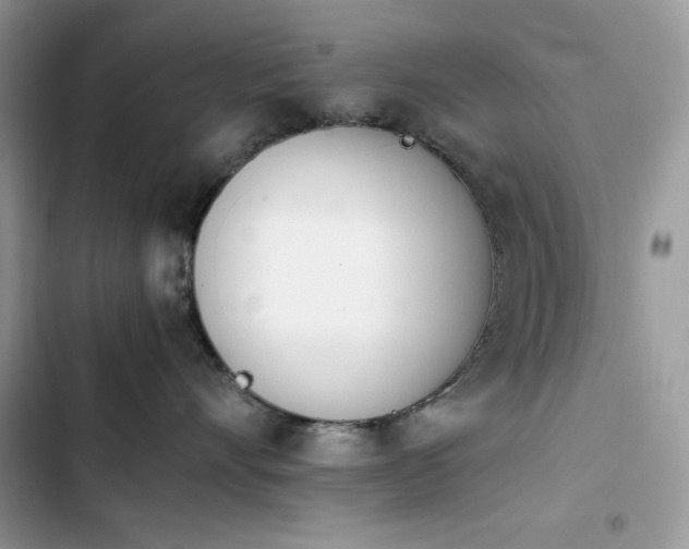 X0000103940528200809191420