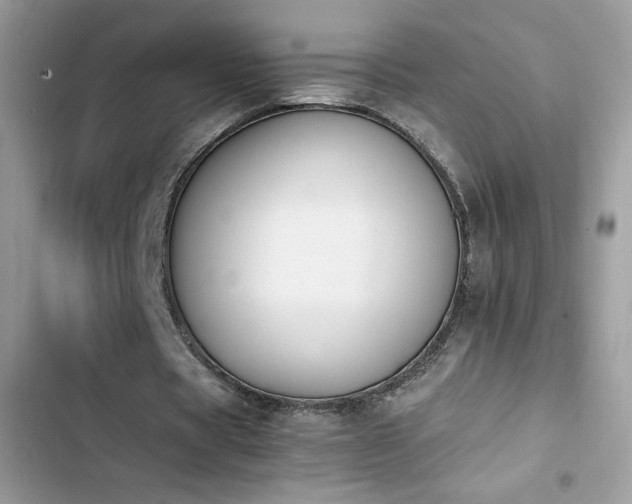 X0000103940529200809191419