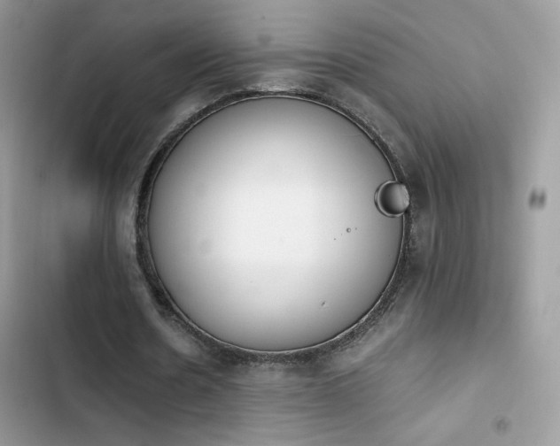 X0000103940530200809191419