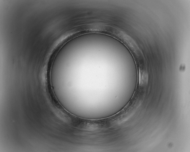 X0000103940531200809191419