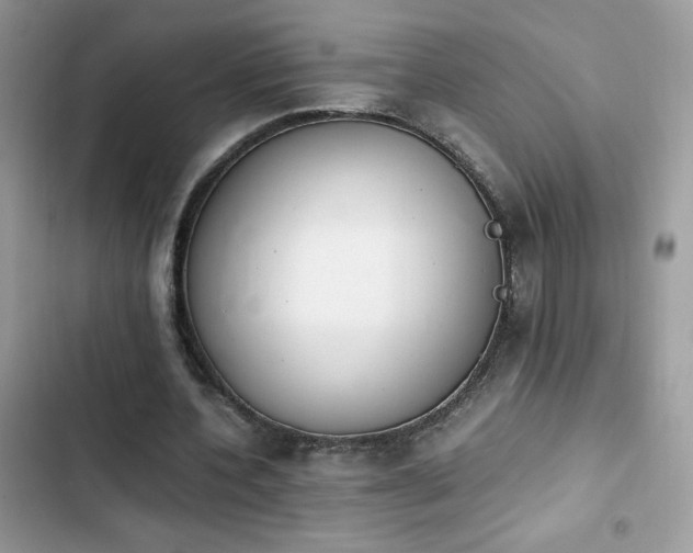 X0000103940532200809191419