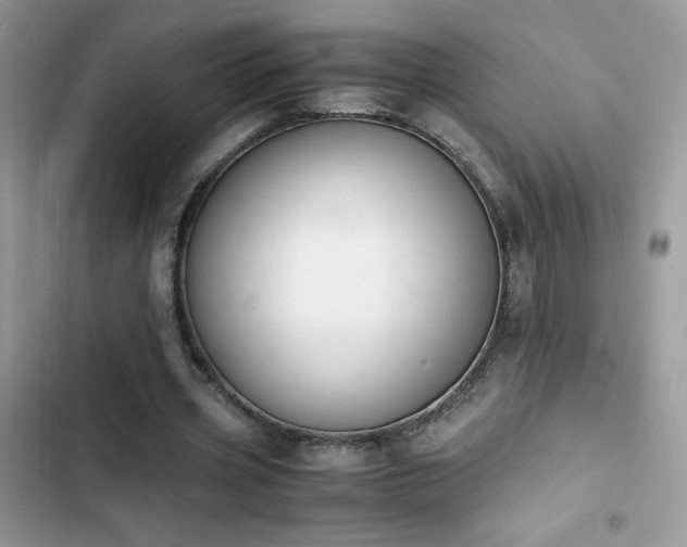 X0000103940533200809191419