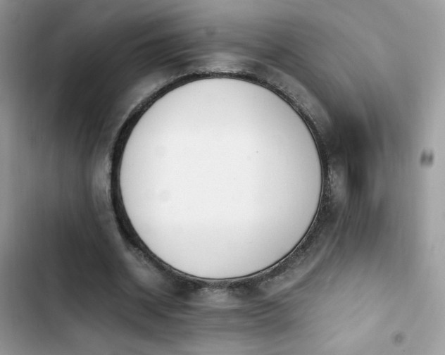 X0000103940534200809191419